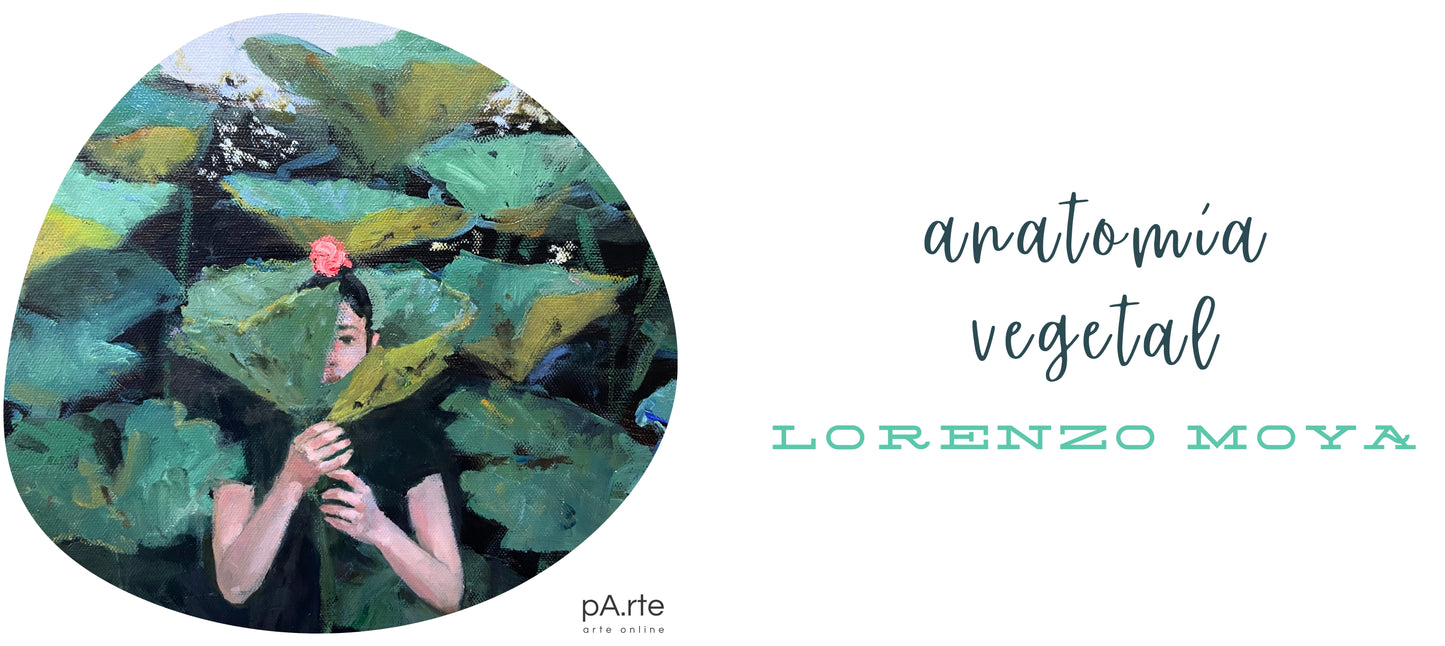 TAZÓN, Anatomía vegetal