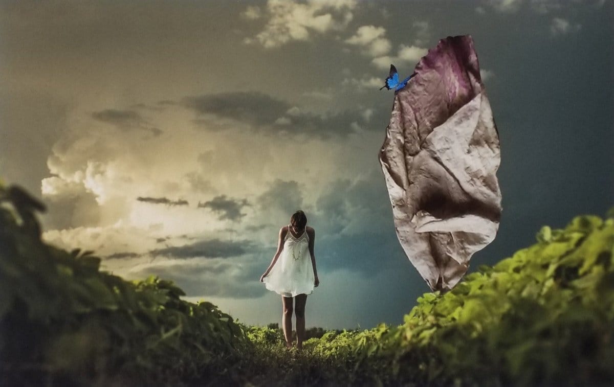 LA PEQUEÑA Y LA ORUGA NOCTURNA