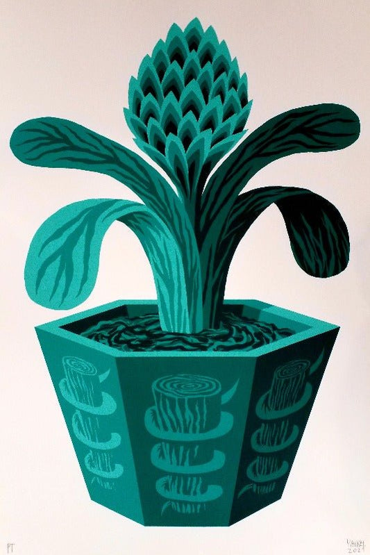 PRIMAVERA OLIVO