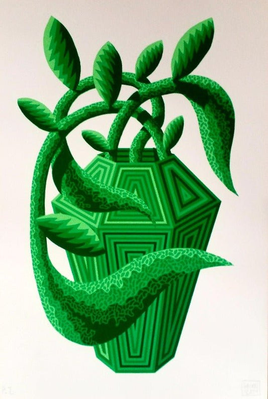 PRIMAVERA VERDE